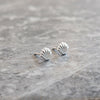 Sterling Silver Clam Shell Earrings