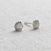 Sterling Silver Clam Shell Earrings