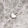 Choose your own Silver Charm