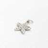 Choose your own Silver Charm