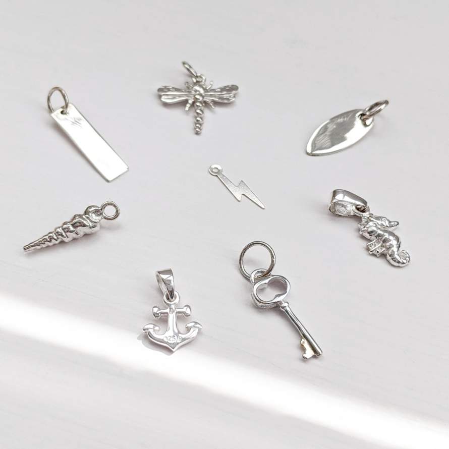 Choose your own Silver Charm